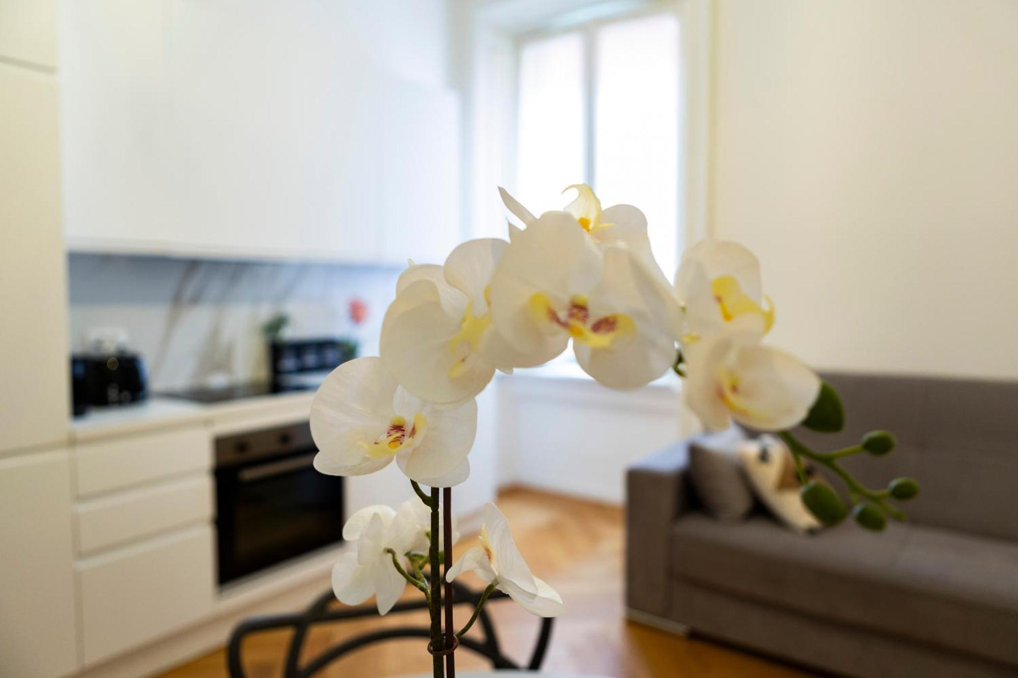 Macchi Delicious Apartment By 101Flats Milano Ngoại thất bức ảnh
