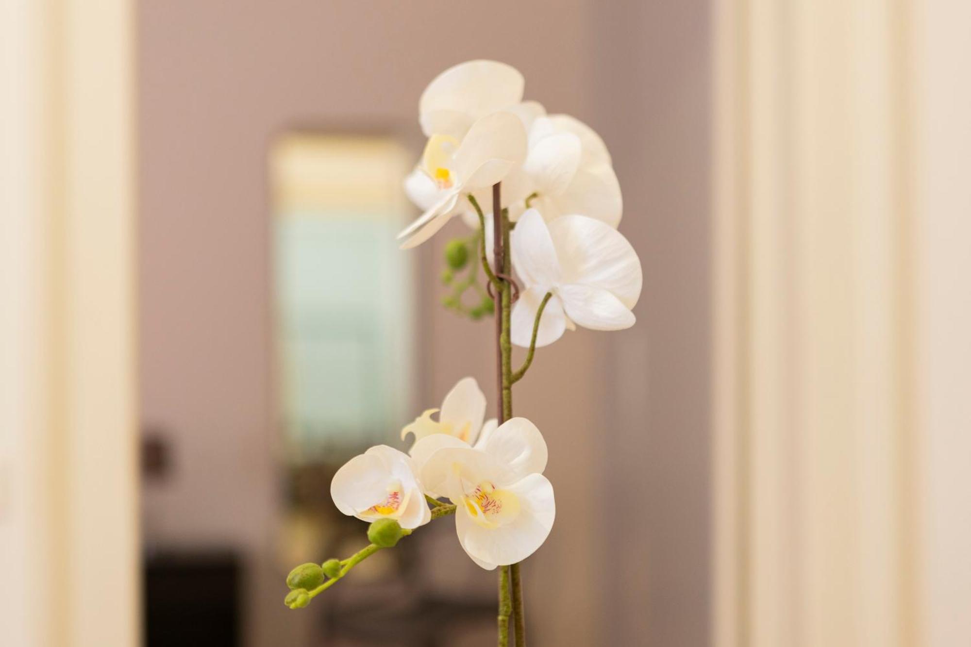 Macchi Delicious Apartment By 101Flats Milano Ngoại thất bức ảnh